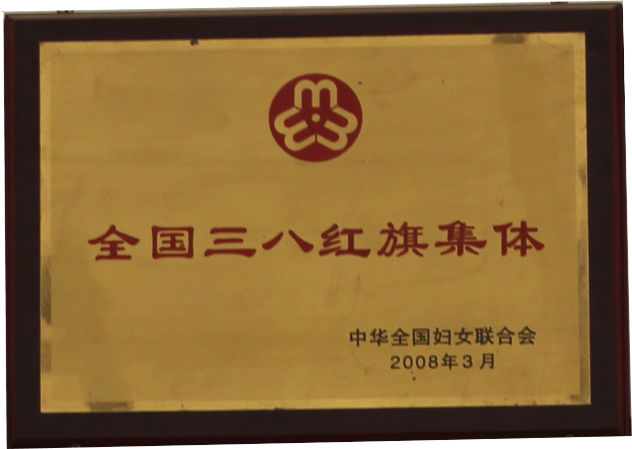 2008年全國(guó)三八紅旗集體